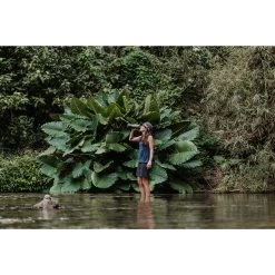 Grayl GEOPRESS PURIFIER - Trinkwasserfilter -Online Camping Angebote 5637917282 f geopress purifier grayl 24