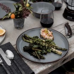 PLATE / SET/2 - Campinggeschirr 15 PLATE / SET/2 - Campinggeschirr -Online Camping Angebote 5638072754 h plate set2 barebones 24